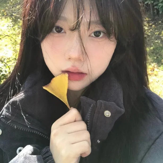 失落的宝藏